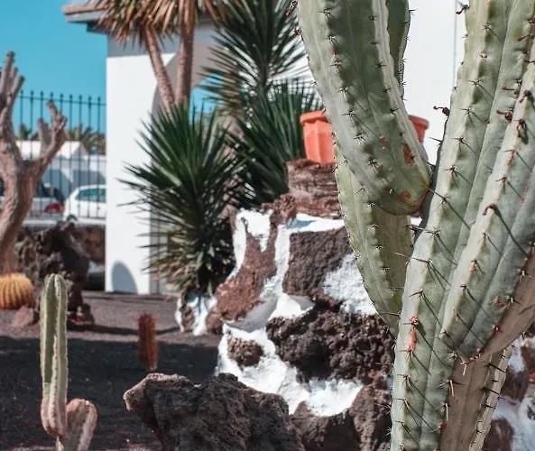 Eva Vacation Pool & Relax 公寓